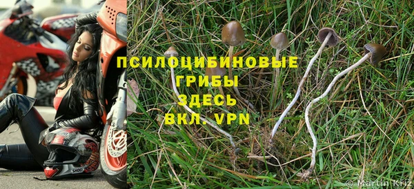 прущая мука Арсеньев
