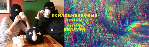 прущая мука Арсеньев