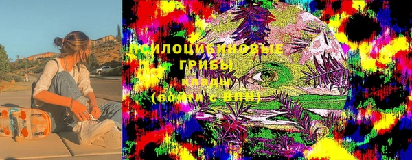 прущая мука Арсеньев