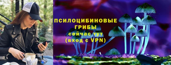 прущая мука Арсеньев